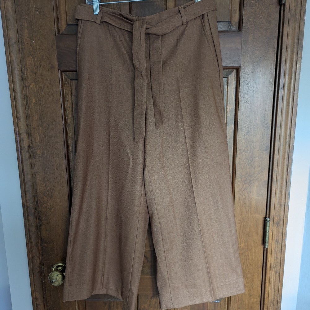 Brown Wide-Leg Trousers